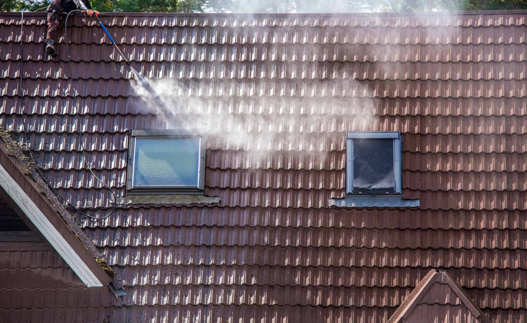Roof Cleaning image